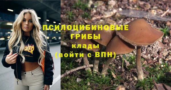 эйфоретик Навашино