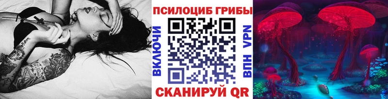 Псилоцибиновые грибы Psilocybe Мыски