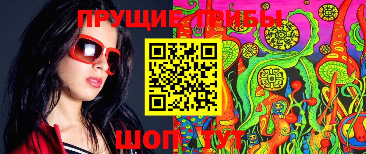 Галлюциногенные грибы Psilocybe Мыски